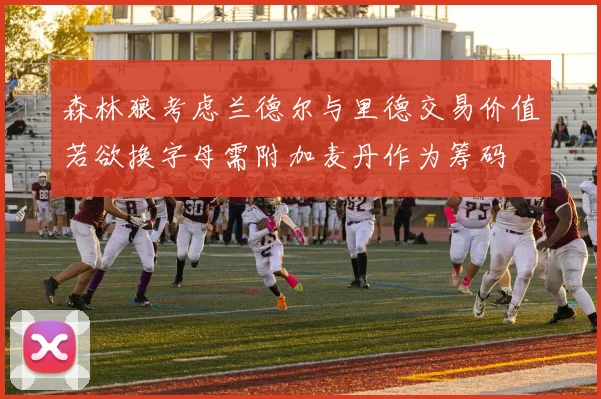 森林狼考虑兰德尔与里德交易价值若欲换字母需附加麦丹作为筹码